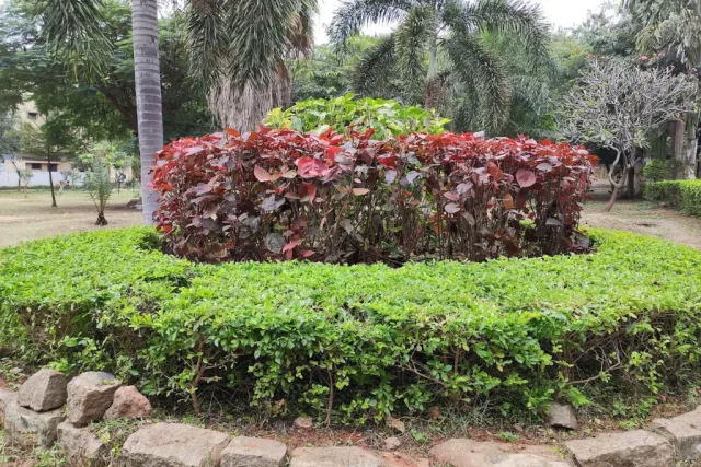 Bowenpally-Park Bowenpally Hyderabad