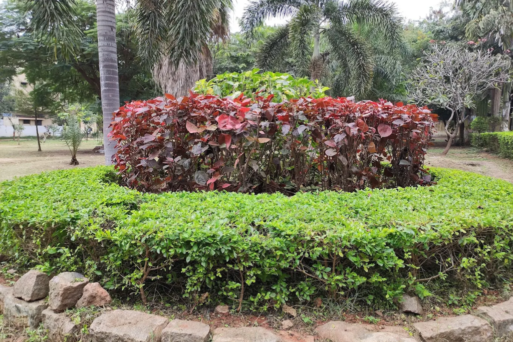 Bowenpally-Park Bowenpally Hyderabad