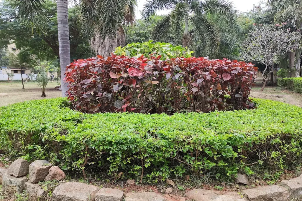 Bowenpally-Park Bowenpally Hyderabad
