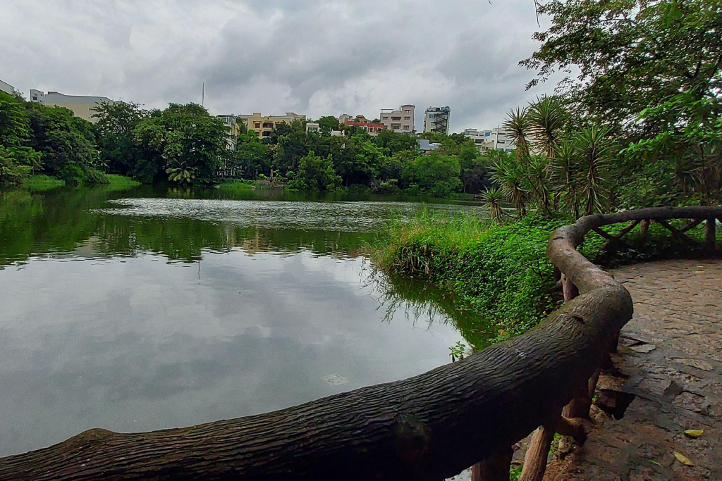 Lotus-Pond Jubilee-Hills Hyderabad