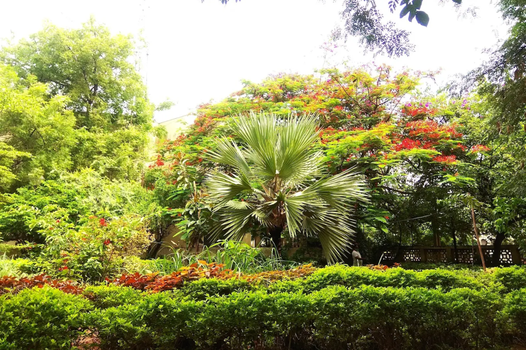 Tarnaka-Park Tarnaka Hyderabad