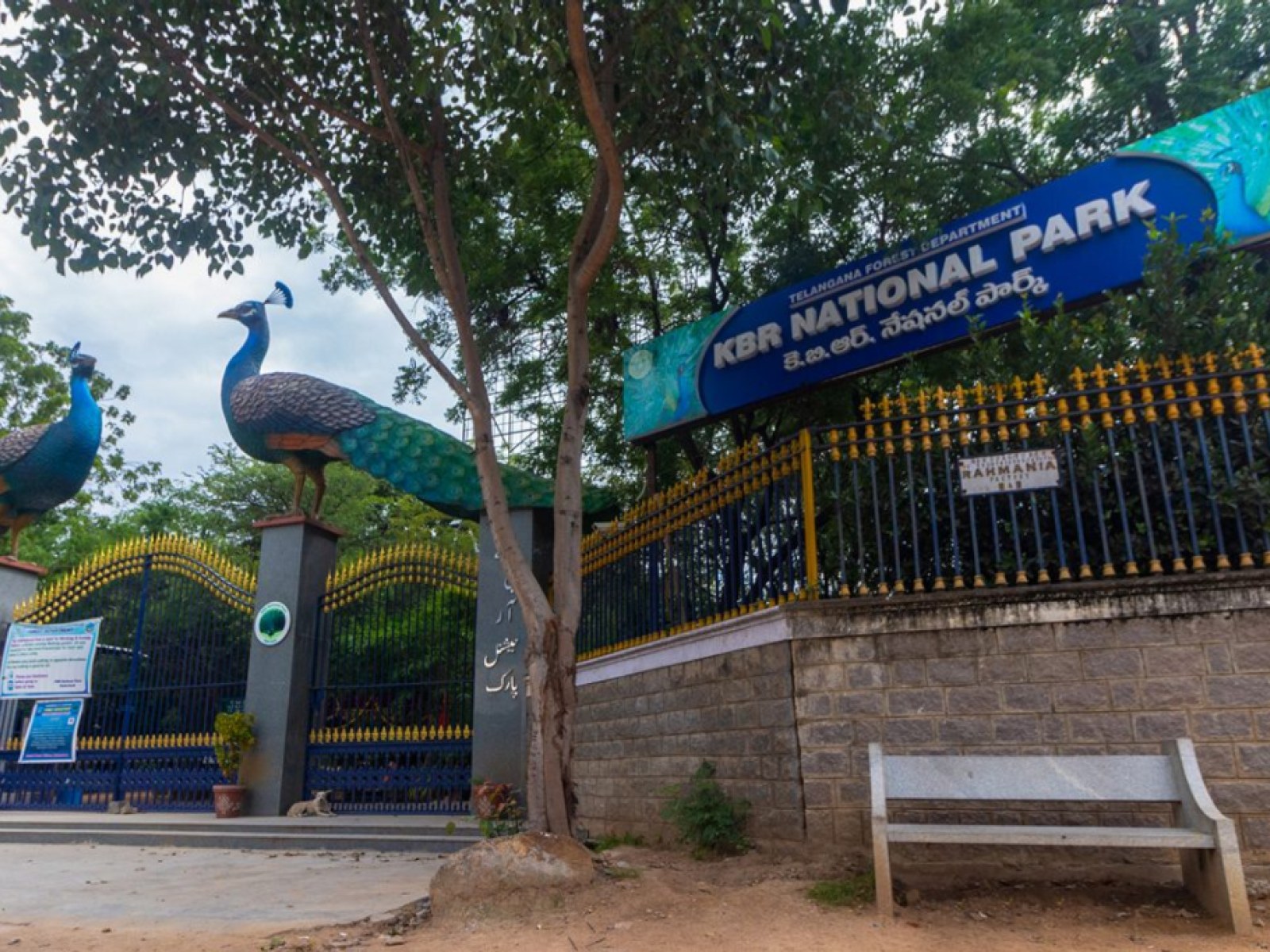 Charity website development Hyderabad — KBR National Park, Banjara Hills community green space